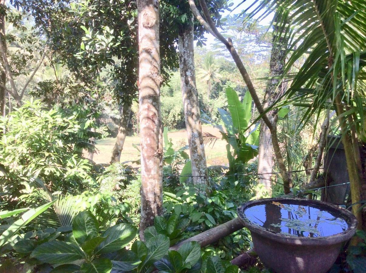 Rumah Irak et Kadek Bali Ubud Eksteriør bilde