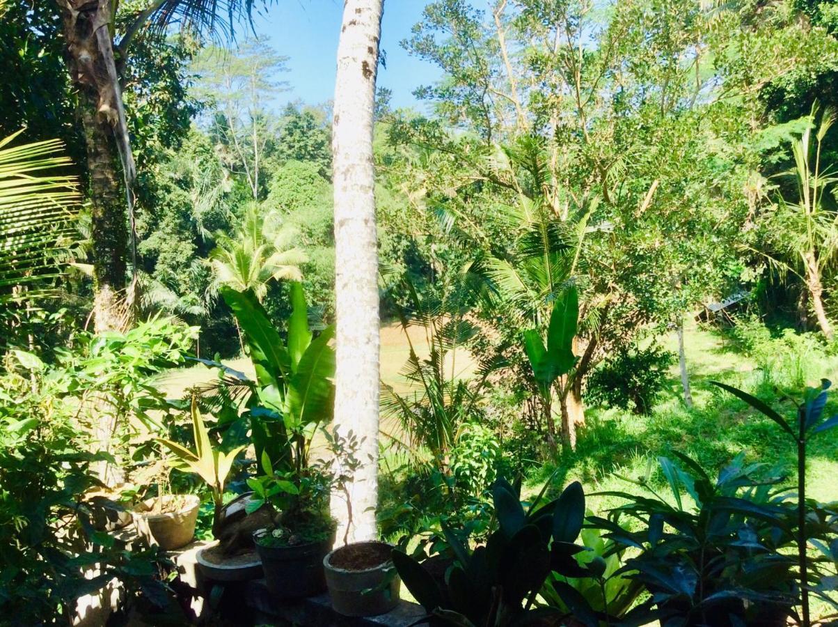 Rumah Irak et Kadek Bali Ubud Eksteriør bilde