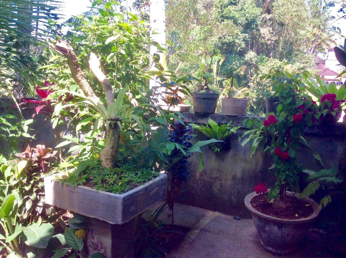 Rumah Irak et Kadek Bali Ubud Eksteriør bilde