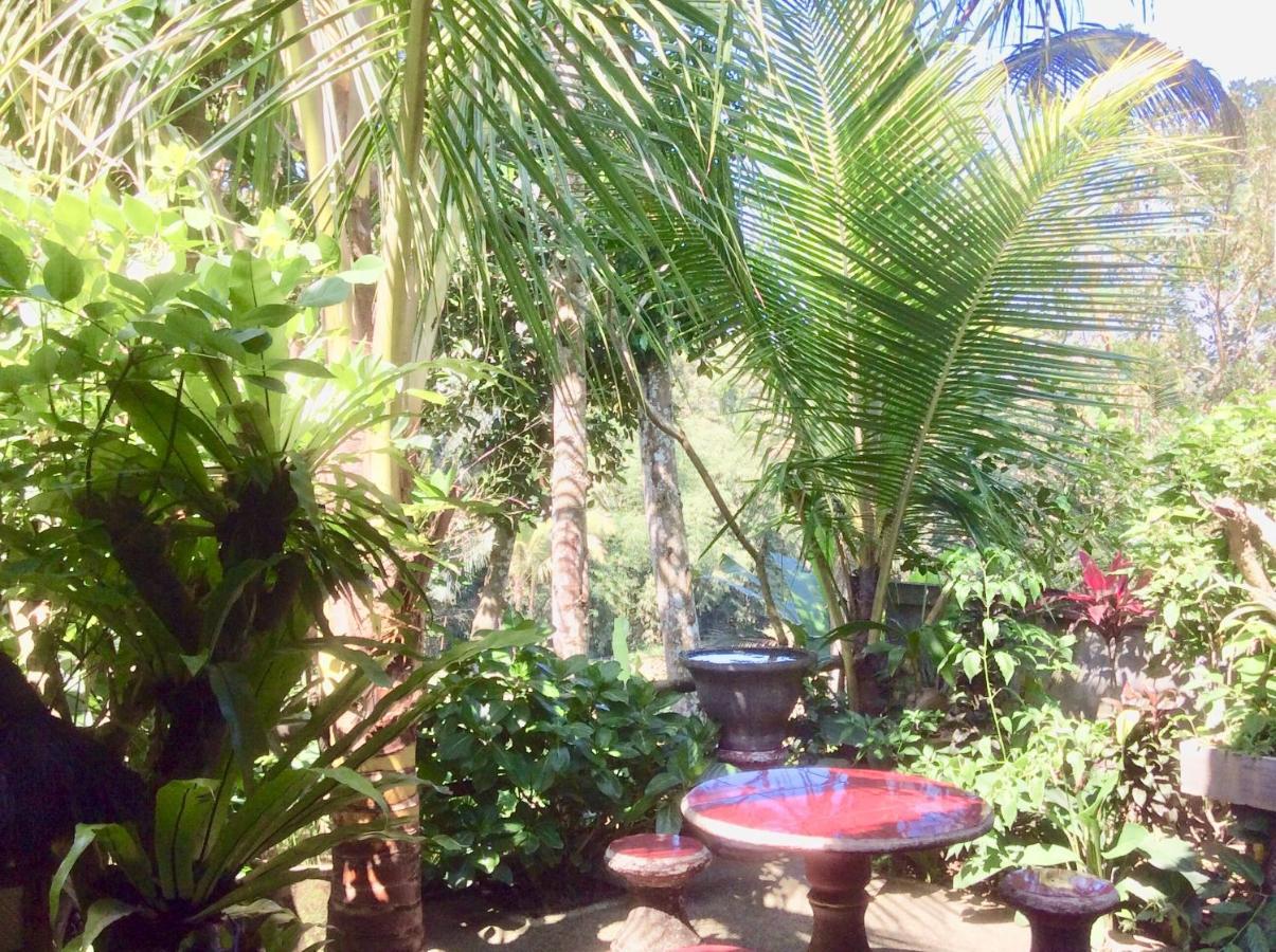 Rumah Irak et Kadek Bali Ubud Eksteriør bilde